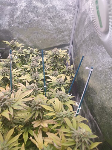 Growreport Bild 20