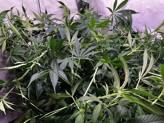 Growreport Bild 7