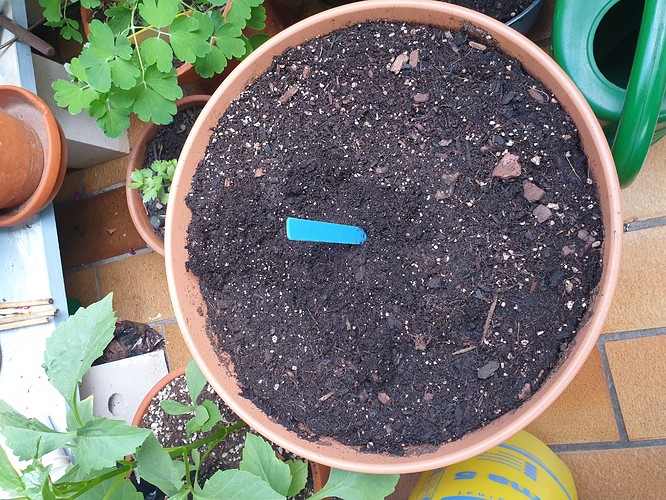 Growreport Bild 5