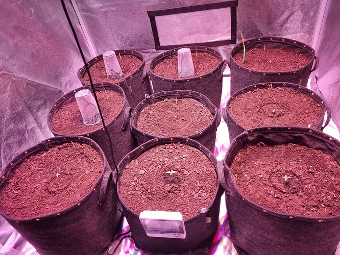 Growreport Bild 14