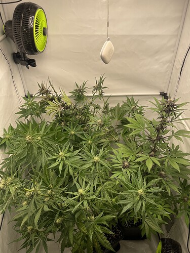 Growreport Bild 3