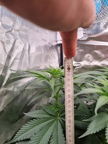Growreport Bild 23