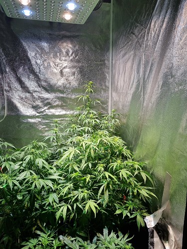 Growreport Bild 16