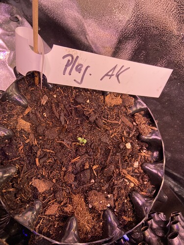 Growreport Bild 6