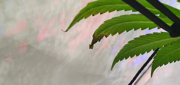 Growreport Bild 18