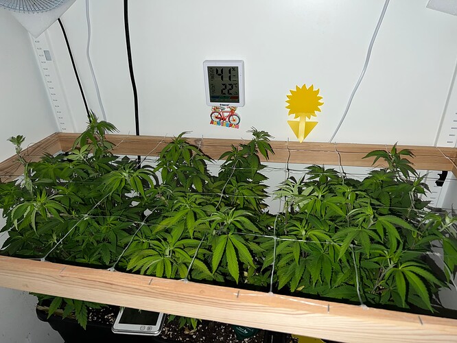 Growreport Bild 4