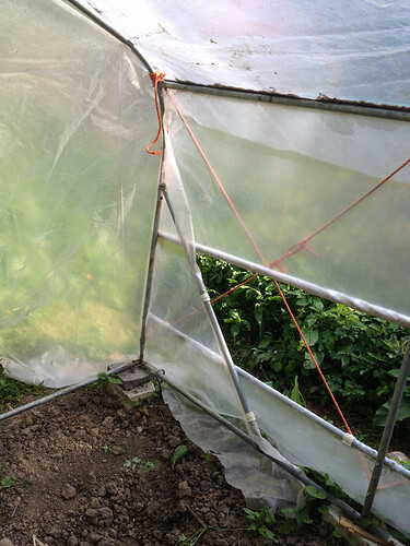 Growreport Bild 3