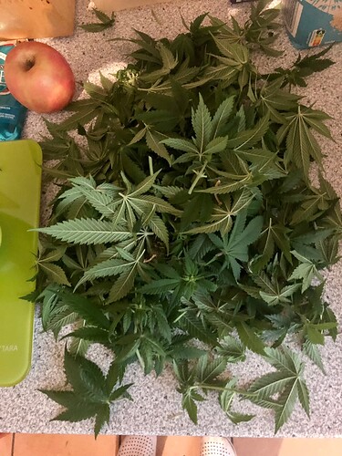 Growreport Bild 5