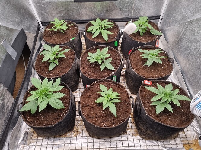 Growreport Bild 30