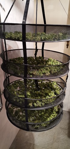 Growreport Bild 10
