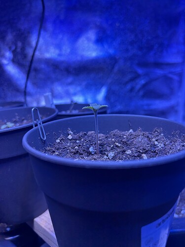 Growreport Bild 16