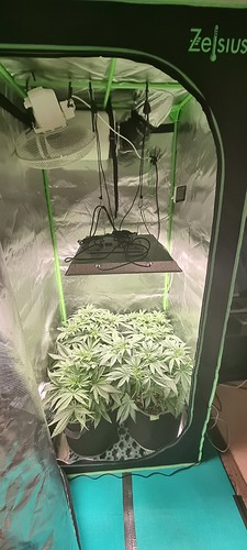 Growreport Bild 2