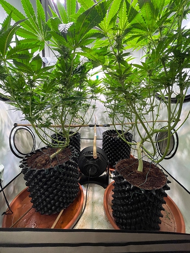 Growreport Bild 10
