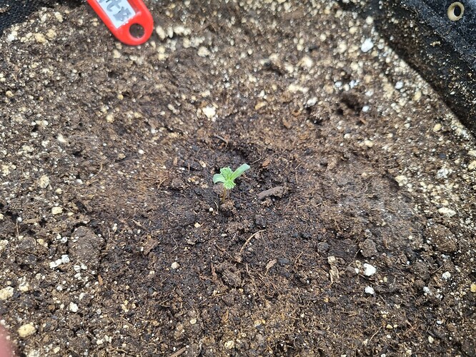 Growreport Bild 17