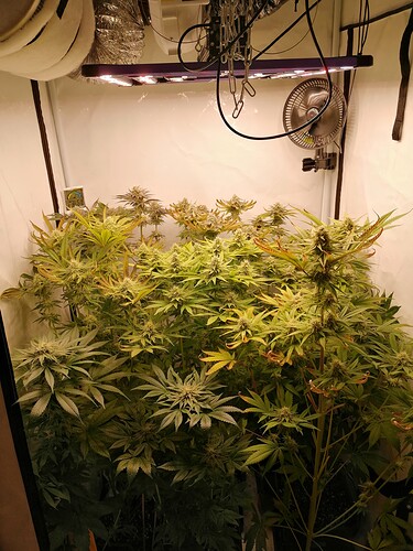 Growreport Bild 3