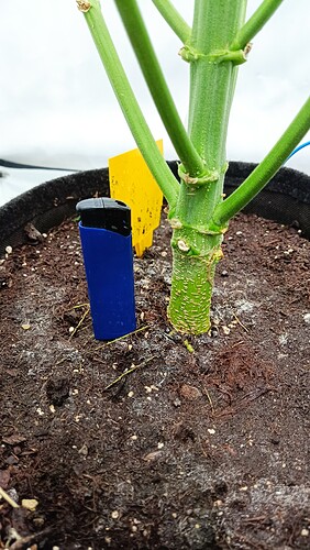 Growreport Bild 8