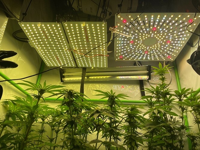 Growreport Bild 9