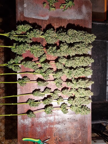 Growreport Bild 6