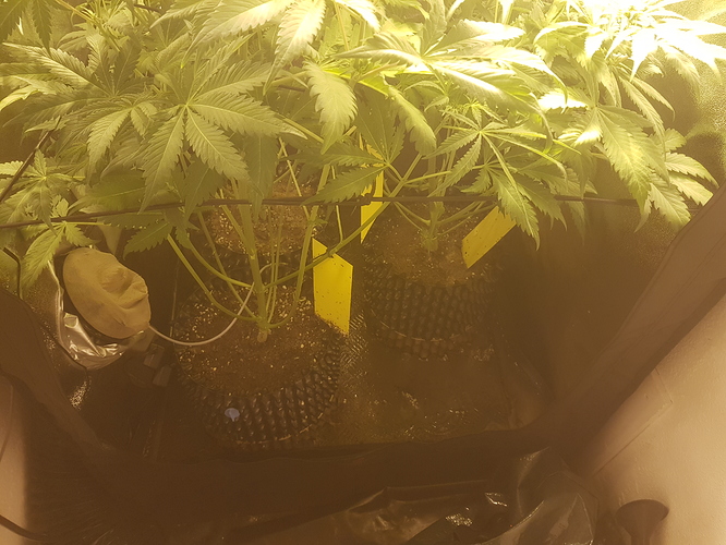 Growreport Bild 10