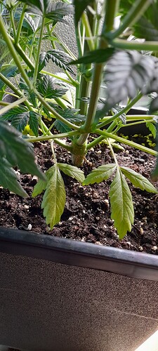 Growreport Bild 10