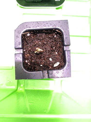 Growreport Bild 14