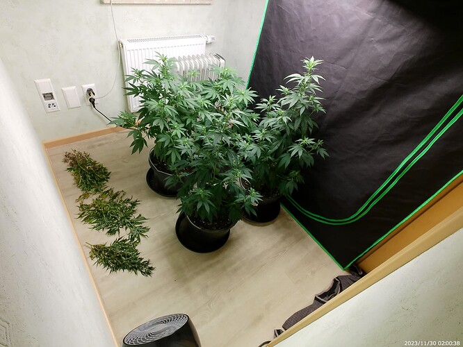 Growreport Bild 4