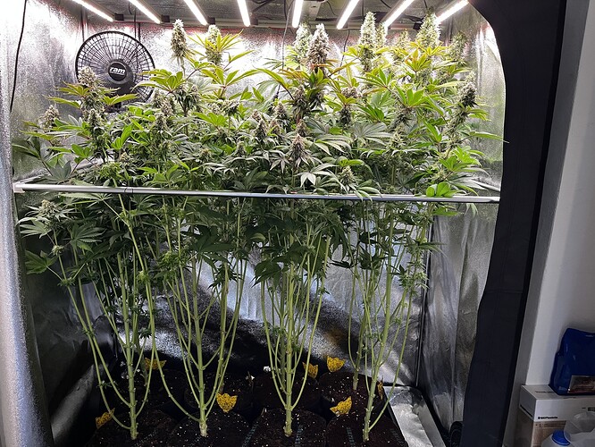 Growreport Bild 10