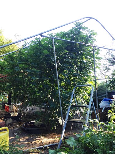 Growreport Bild 10