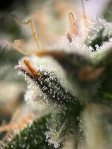Growreport Bild 18