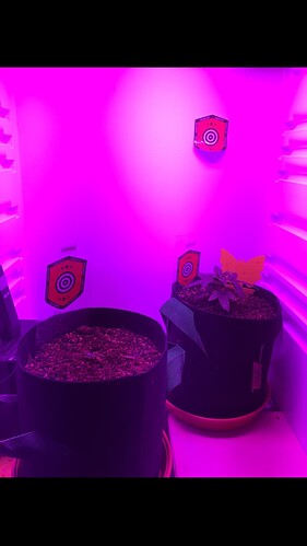 Growreport Bild 1