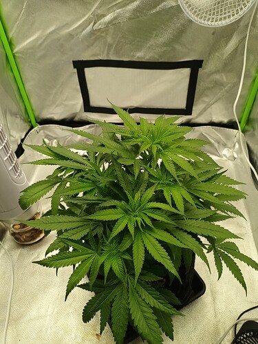 Growreport Bild 10