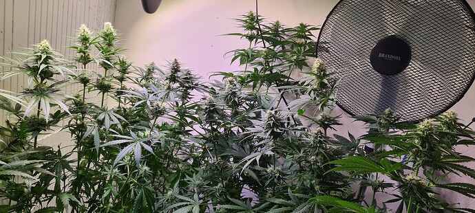 Growreport Bild 10