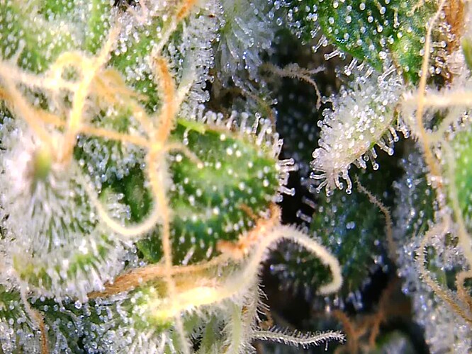 Growreport Bild 14