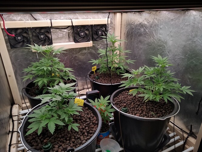 Growreport Bild 1