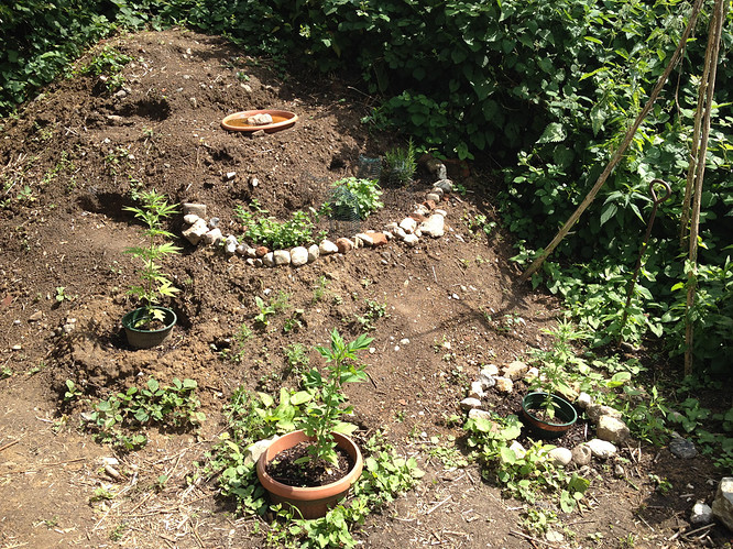 Growreport Bild 6