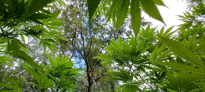 Growreport Bild 5