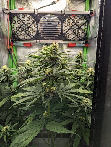 Growreport Bild 8