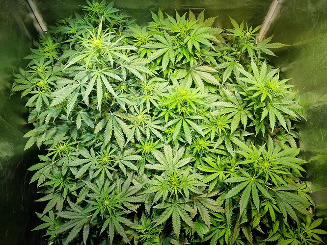 Growreport Bild 10