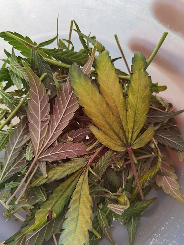 Growreport Bild 11