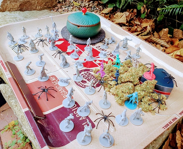 IMG-20201031-WA0002~2