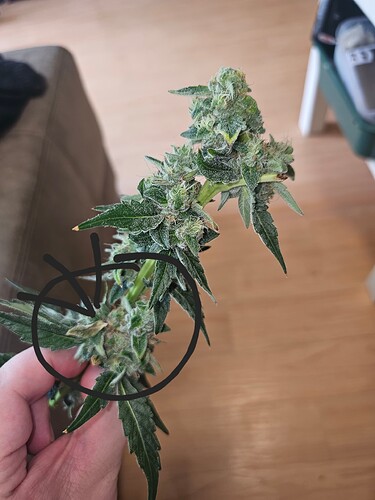 Growreport Bild 23