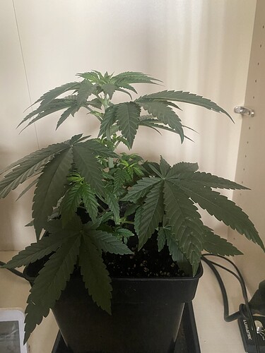 Growreport Bild 10