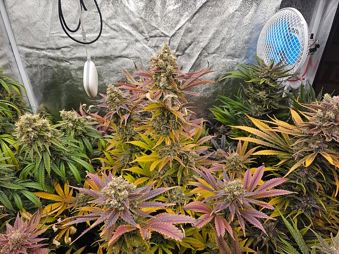 Growreport Bild 3