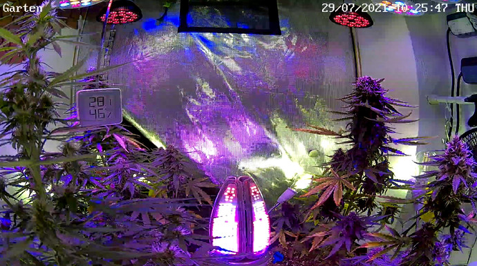Growreport Bild 8