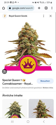 Screenshot_20230817_203916_Chrome