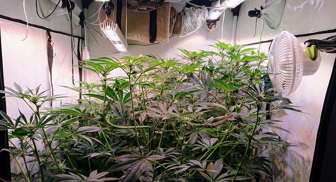Growreport Bild 7
