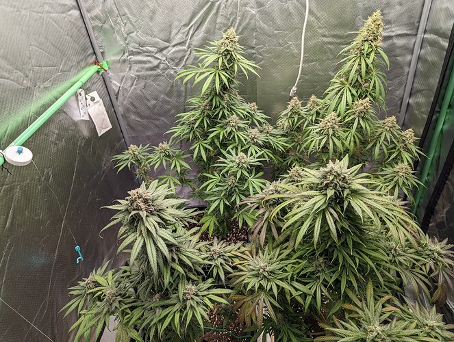 Growreport Bild 14