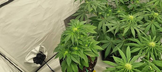 Growreport Bild 8