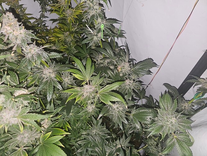 Growreport Bild 10