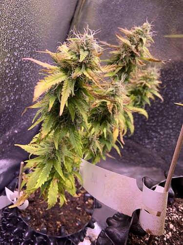 Growreport Bild 9